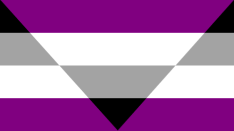 aegosexual pride flag