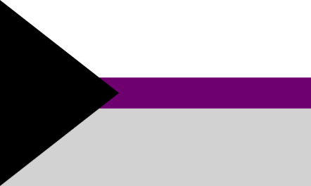demisexual flag demisexual flag