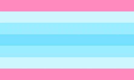 transmasculine flag