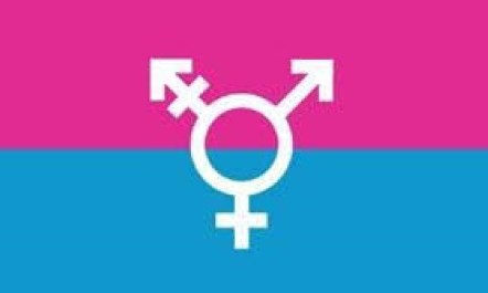canada trans flag canada trans flag