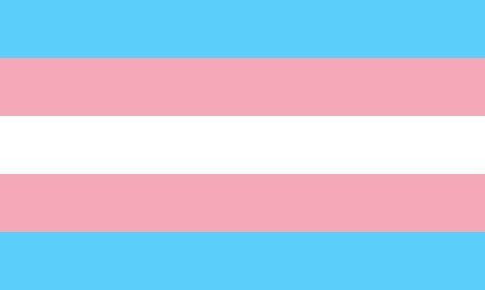male to female flag male to female flag