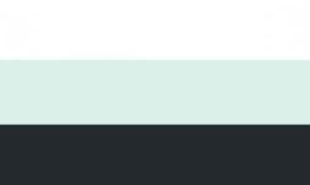neutrois alternative flag neutrois alternative flag